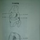 슬관절 교정법 이미지