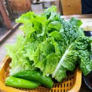 화성 향남 맛집 니가내라 닭발 내가낼께 곱창 위치 및 영업정보 수제막걸리🍶