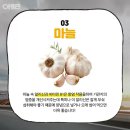 용인대 덕양 태권도장 이미지