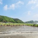 고산면 행정복지센터 | 고산면 벼농사 두레 못자리 현장 방문