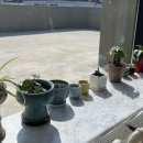 원평중앙식당 이미지