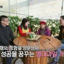 완도농장 이미지