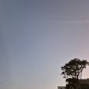3일 제주 서쪽 여행 | 우진해장국, 카페 너흐, 미스터스위츠, 문도지오름, 협재해수욕장, 몬스터살롱...