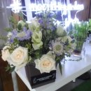 신사가든 이미지