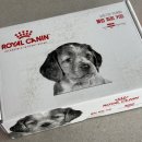 로얄퍼피 | [퍼피사료] 퍼피사료 추천 로얄캐닌 웰컴 퍼피 키트 수령 후기