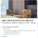 강아지 정거장 | [서울 애견 동반 호텔] 호텔 더 보타닉 세운 명동 | 강아지랑 즐긴 멍캉스 패키지 이용 후기