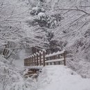 산성등산로2 이미지