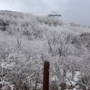 김밥천국(행주동소재) | 소백산 등린이 등산코스 추천 비로봉 천동코스 소요시간 준비물 총정리