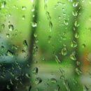 푸른물고기 이미지