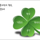 클로버 티스토리