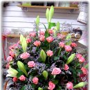 (주)메디파크 이미지