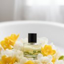 더옐로soap