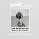 장평면사무소 이미지