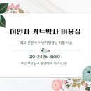 커트박사 이미지