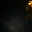 더썬앤드더문 | 발리) 멘장안 리조트ㅣ아디 아스리 비치 리조트 앤드 스파 페무테란 Adi Assri Beach Resort & Spa