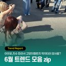SNS 휩쓴 요즘 트렌드 #고양이 그림자 #전남친토스트 #채연유튜브 #대나무행주 총집합!