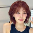 샤밍헤어 이미지