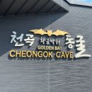 망고씨앤씨 이미지