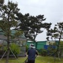 해돋이조경