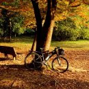 가을 자전거 이미지