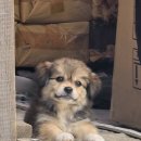 태린약국 이미지