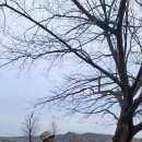 경기둘레길 연천10코스 이미지