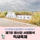 영산강서창들녘억새길 이미지