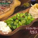 코요테살룬