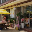 레몬비예당점 이미지