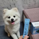 초록메디 이미지