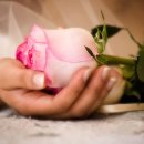 꿈꾸는강 이미지