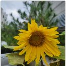 이방공인중개사사무소 이미지