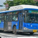 세운버스 이미지