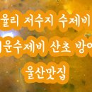 매운수제비 이미지