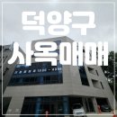 뉴코리아공인중개사사무소 이미지