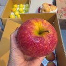 명진유통 | 수원 농수산물시장 과일 감홍사과 주차 영업시간 휴무일