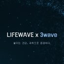 [서울 줄기세포 건강템 추천] 라이프웨이브, 붙이는 자가치유 솔루션!