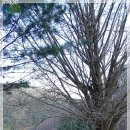 김용사 주차장 이미지