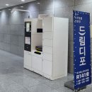 드림디포미사테스타 이미지