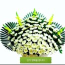 봉암동244 이미지