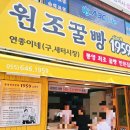 통영원조꿀빵1959 | 통영 꿀빵 맛집 추천 : 3대째 이어온 통영 원조 꿀빵 1959 재방문 후기