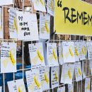 19/04/16 대구대교구, 수원신학교 등 세월호 5주기 미사 - 광주대교구 본당 신자, 사제들도 목포신항 미사 이미지