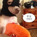 슈슈베이크샵