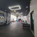 369피트니스 이미지