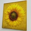 대경부동산공인중개사사무소 이미지