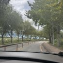 부산첫회 | 부산 무료 물놀이터 추천 삼락공원 물놀이장 솔직후기(주차꿀팁)