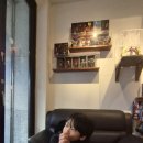 카페다조은
