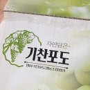 기찬농장 | 이 집 샤인머스캣 달아요~ 영암 기찬포도 내돈내산 솔직 추천후기 | 고당도 고품질 선물 추천