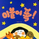 곰이불집