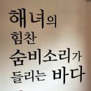 춤추는해녀(원평점) 티스토리